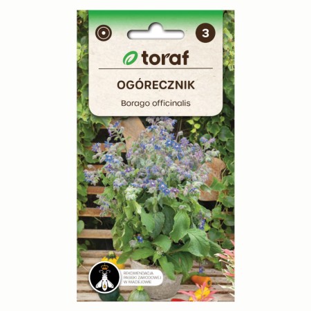 Starflower | Herb seeds | Buy | ietsGezond.nl