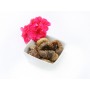 Dried Figs - Natural Sweetness | ietsGezond.nl