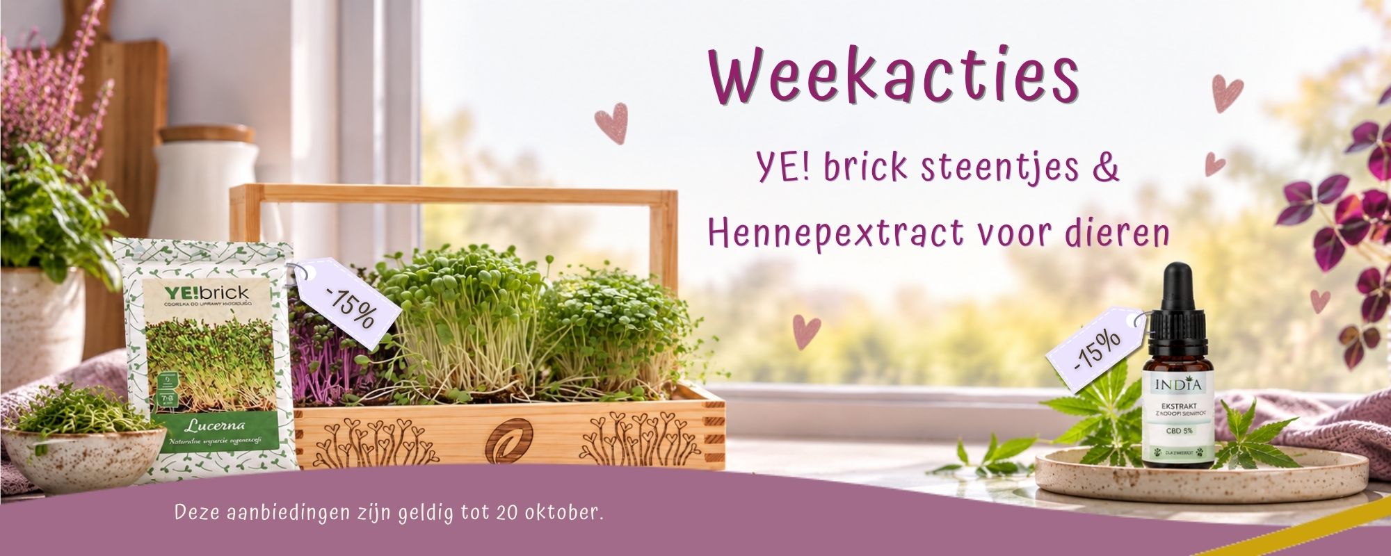 weekacties 21-9